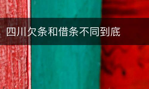 四川欠条和借条不同到底