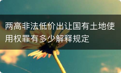 两高非法低价出让国有土地使用权罪有多少解释规定