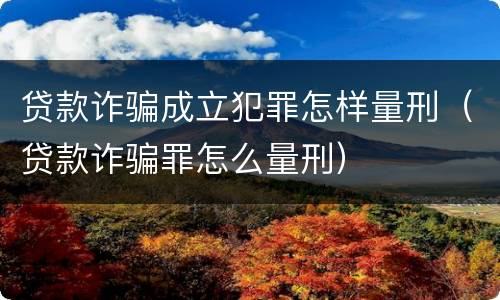 贷款诈骗成立犯罪怎样量刑（贷款诈骗罪怎么量刑）