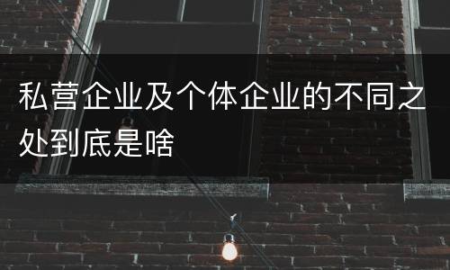 私营企业及个体企业的不同之处到底是啥