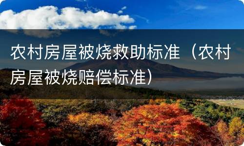 农村房屋被烧救助标准（农村房屋被烧赔偿标准）