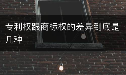 专利权跟商标权的差异到底是几种