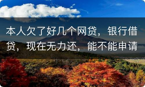 本人欠了好几个网贷，银行借贷，现在无力还，能不能申请破产