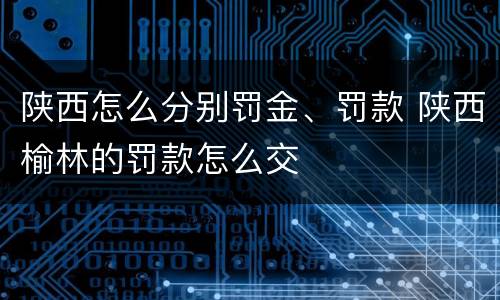 陕西怎么分别罚金、罚款 陕西榆林的罚款怎么交