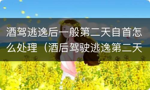 酒驾逃逸后一般第二天自首怎么处理（酒后驾驶逃逸第二天怎么处理）