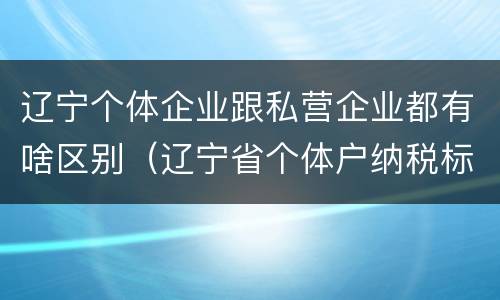 辽宁个体企业跟私营企业都有啥区别（辽宁省个体户纳税标准）