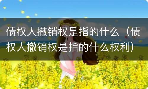 债权人撤销权是指的什么（债权人撤销权是指的什么权利）