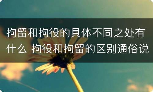 拘留和拘役的具体不同之处有什么 拘役和拘留的区别通俗说法