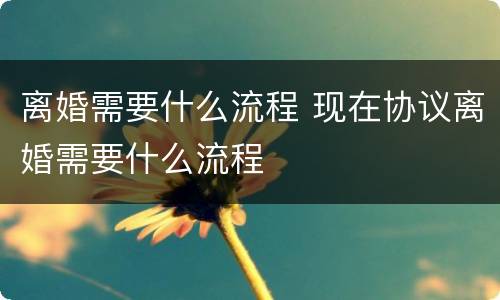 离婚需要什么流程 现在协议离婚需要什么流程