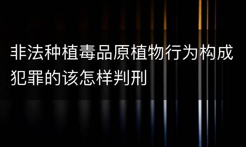 非法种植毒品原植物行为构成犯罪的该怎样判刑