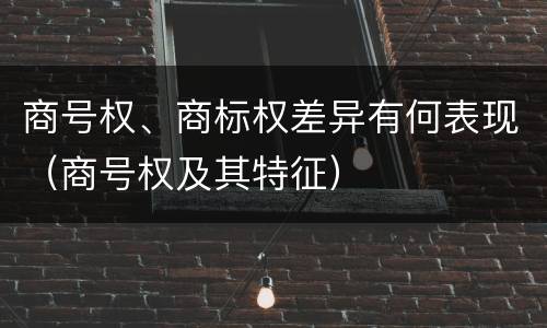 商号权、商标权差异有何表现（商号权及其特征）