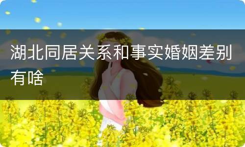湖北同居关系和事实婚姻差别有啥