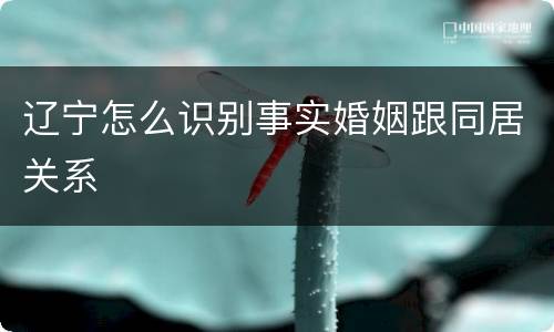 辽宁怎么识别事实婚姻跟同居关系