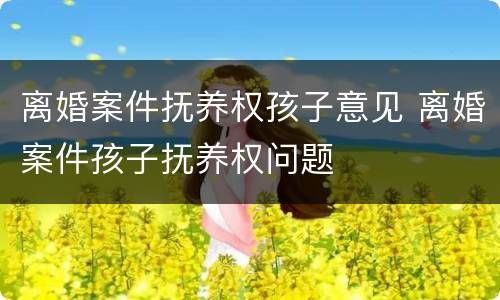 离婚案件抚养权孩子意见 离婚案件孩子抚养权问题
