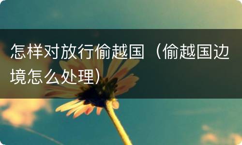 怎样对放行偷越国（偷越国边境怎么处理）