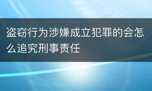 盗窃行为涉嫌成立犯罪的会怎么追究刑事责任