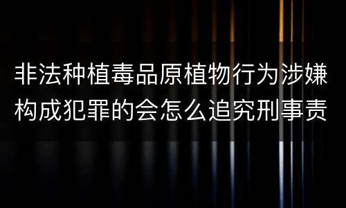 非法种植毒品原植物行为涉嫌构成犯罪的会怎么追究刑事责任