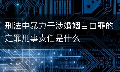 刑法中暴力干涉婚姻自由罪的定罪刑事责任是什么