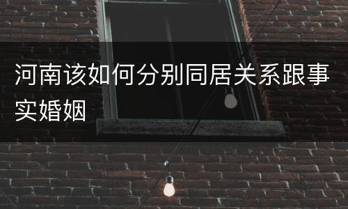 河南该如何分别同居关系跟事实婚姻