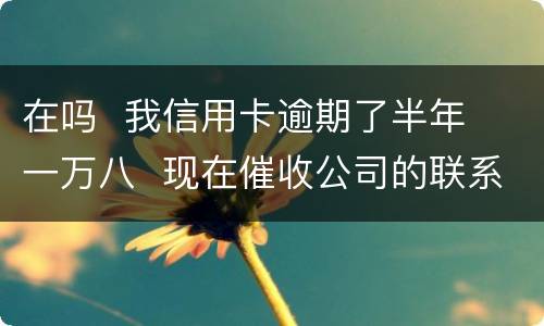 在吗  我信用卡逾期了半年  一万八  现在催收公司的联系到我  五天必须还钱