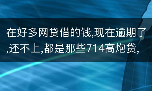 在好多网贷借的钱,现在逾期了,还不上,都是那些714高炮贷,征信上也没有