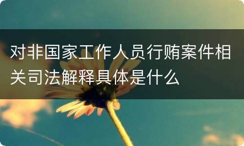 对非国家工作人员行贿案件相关司法解释具体是什么