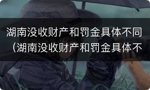 湖南没收财产和罚金具体不同（湖南没收财产和罚金具体不同吗）