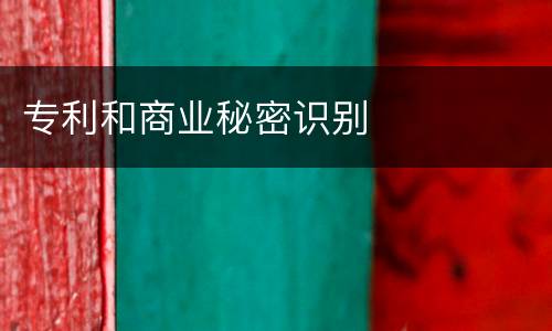 专利和商业秘密识别