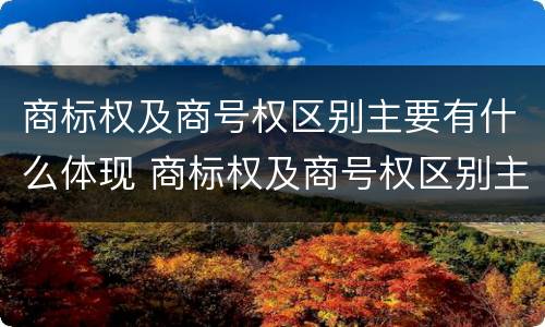 商标权及商号权区别主要有什么体现 商标权及商号权区别主要有什么体现