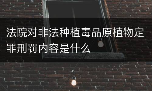 法院对非法种植毒品原植物定罪刑罚内容是什么