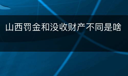 山西罚金和没收财产不同是啥