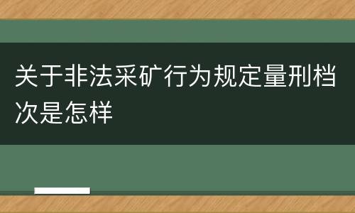 关于非法采矿行为规定量刑档次是怎样