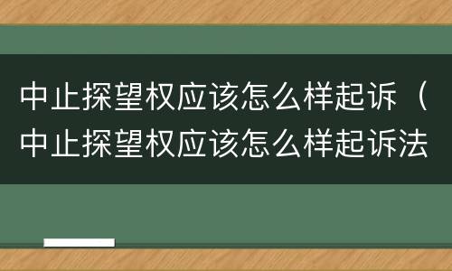 中止探望权应该怎么样起诉（中止探望权应该怎么样起诉法院）