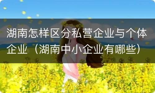 湖南怎样区分私营企业与个体企业（湖南中小企业有哪些）