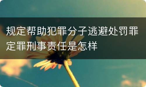规定帮助犯罪分子逃避处罚罪定罪刑事责任是怎样