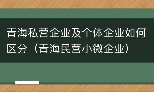 青海私营企业及个体企业如何区分（青海民营小微企业）