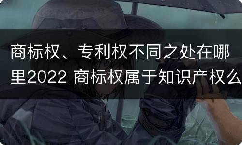 商标权、专利权不同之处在哪里2022 商标权属于知识产权么
