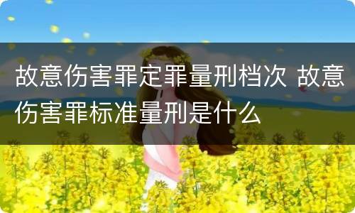 故意伤害罪定罪量刑档次 故意伤害罪标准量刑是什么