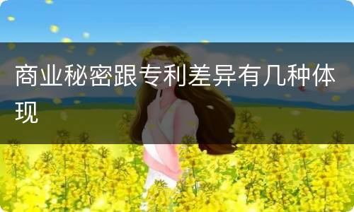 商业秘密跟专利差异有几种体现