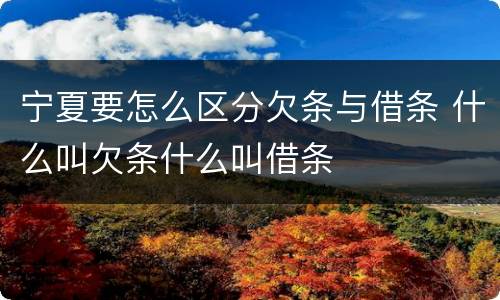 宁夏要怎么区分欠条与借条 什么叫欠条什么叫借条