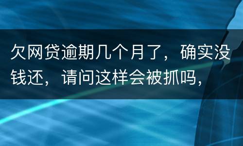 欠网贷逾期几个月了，确实没钱还，请问这样会被抓吗，