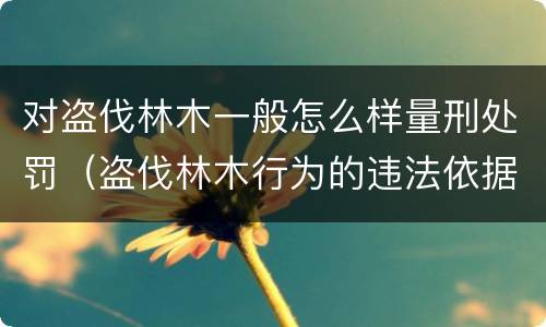 对盗伐林木一般怎么样量刑处罚（盗伐林木行为的违法依据）