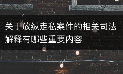 关于放纵走私案件的相关司法解释有哪些重要内容