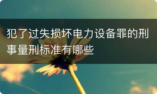 犯了过失损坏电力设备罪的刑事量刑标准有哪些