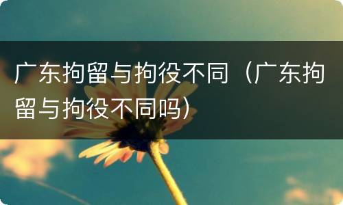 广东拘留与拘役不同（广东拘留与拘役不同吗）