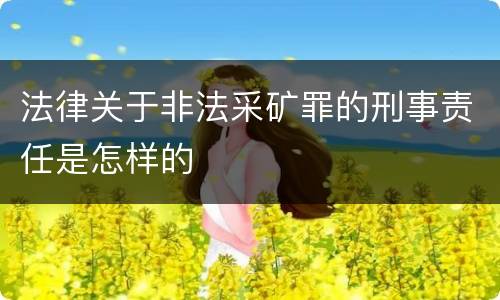 法律关于非法采矿罪的刑事责任是怎样的