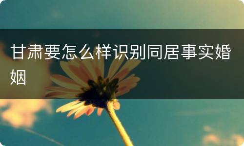 甘肃要怎么样识别同居事实婚姻