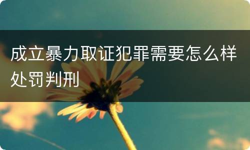 成立暴力取证犯罪需要怎么样处罚判刑