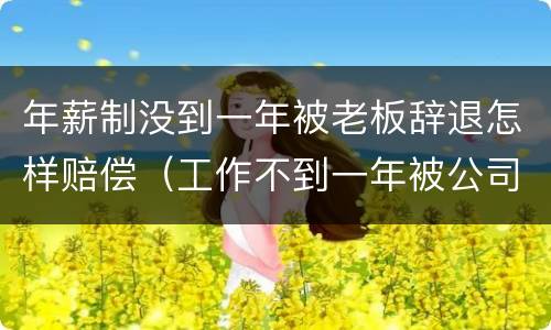 年薪制没到一年被老板辞退怎样赔偿（工作不到一年被公司辞退怎么赔偿）