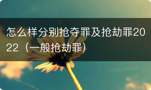 怎么样分别抢夺罪及抢劫罪2022（一般抢劫罪）